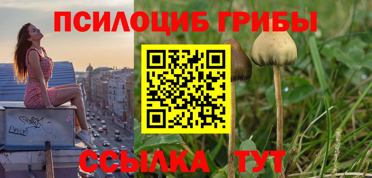 Галлюциногенные грибы ЛСД  Вход с VPN  Иваново 